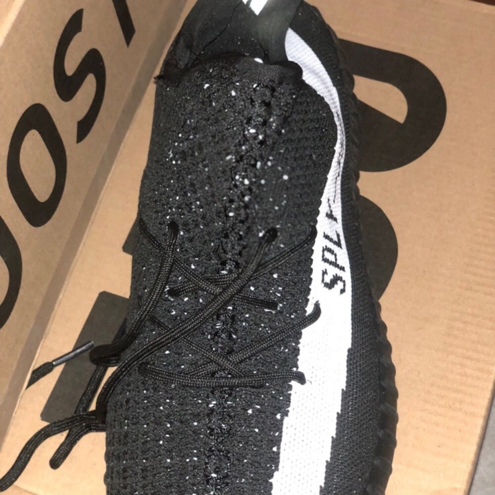 Yeezy boost 350 v2